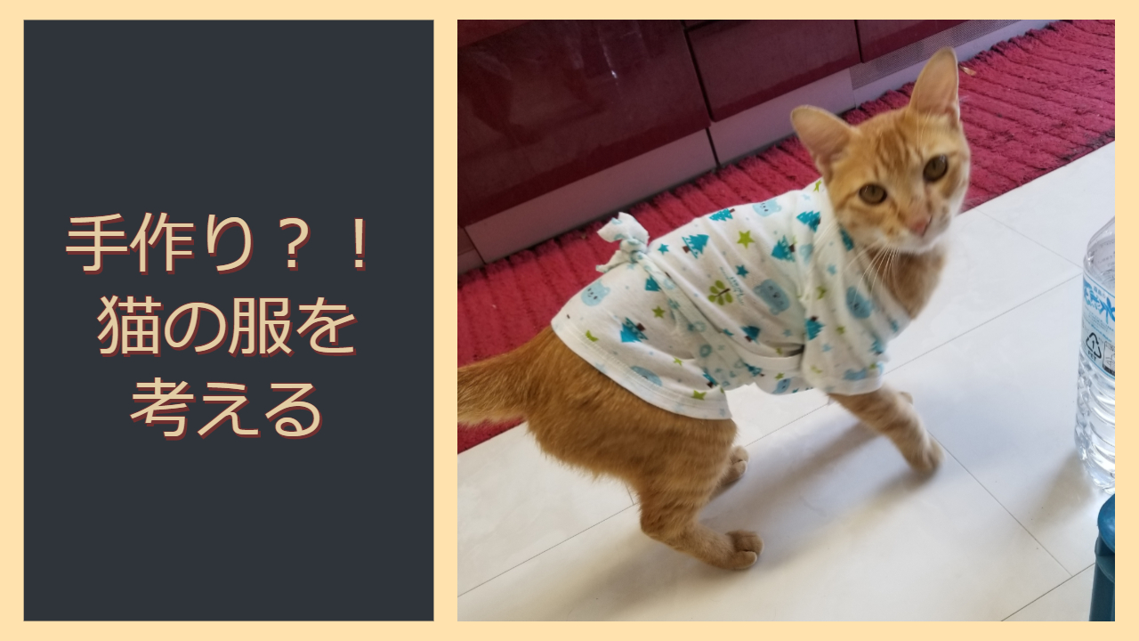 とらの洋服紹介 猫の服が高いなら手作りしよう もいもいblog