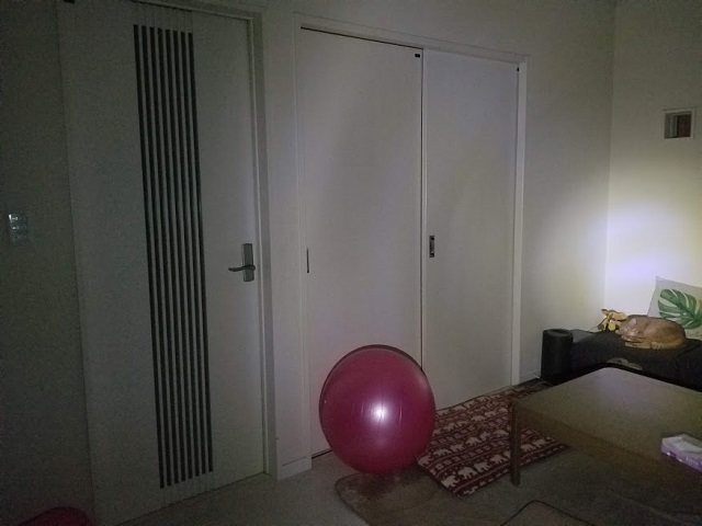 ソファーの「とら」が見えました!